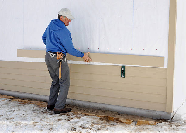 Best Brick Veneer Siding  in Deltana, AK